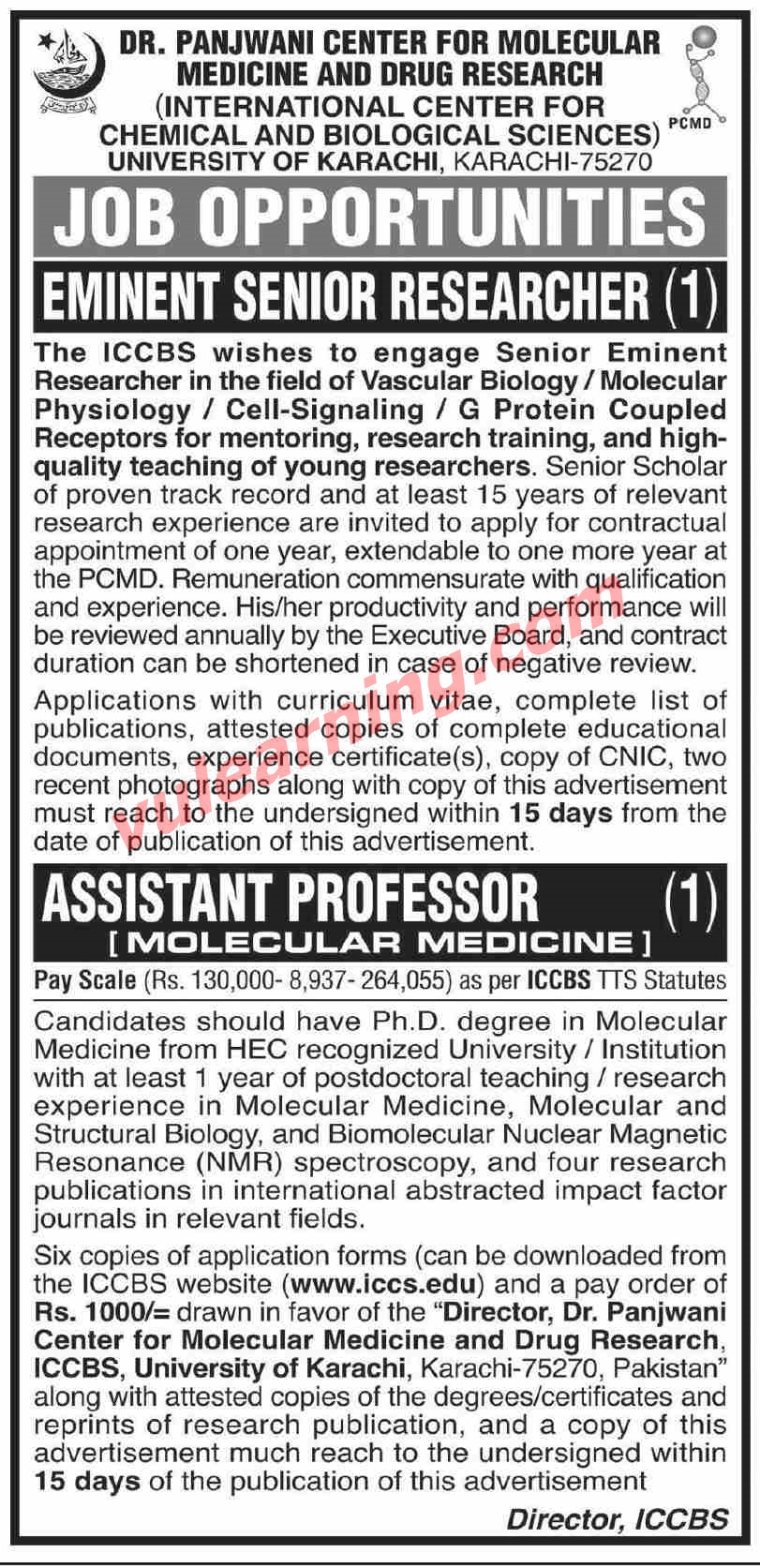 Preclinical research jobs pune 2013