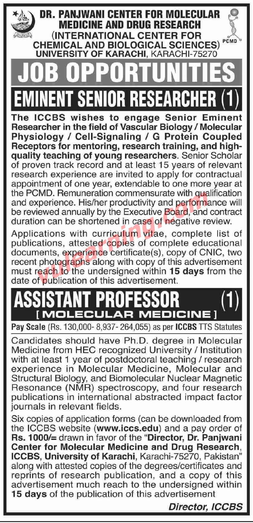 research assistant jobs karachi