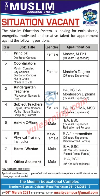 Education Skills And Jobs Coordinators