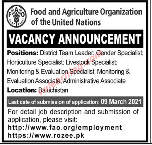 Advertisement of Food & Agriculture Organization of the United Nations